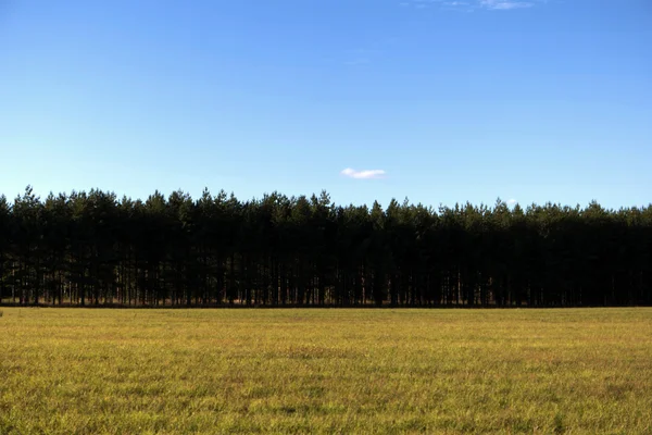 Landschap in Zweden — Stockfoto