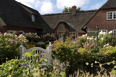 Almanya Kuzey Frisia bahçede