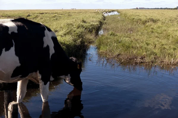 Im thurm cap von st. peter-ording in deutschland — Stockfoto