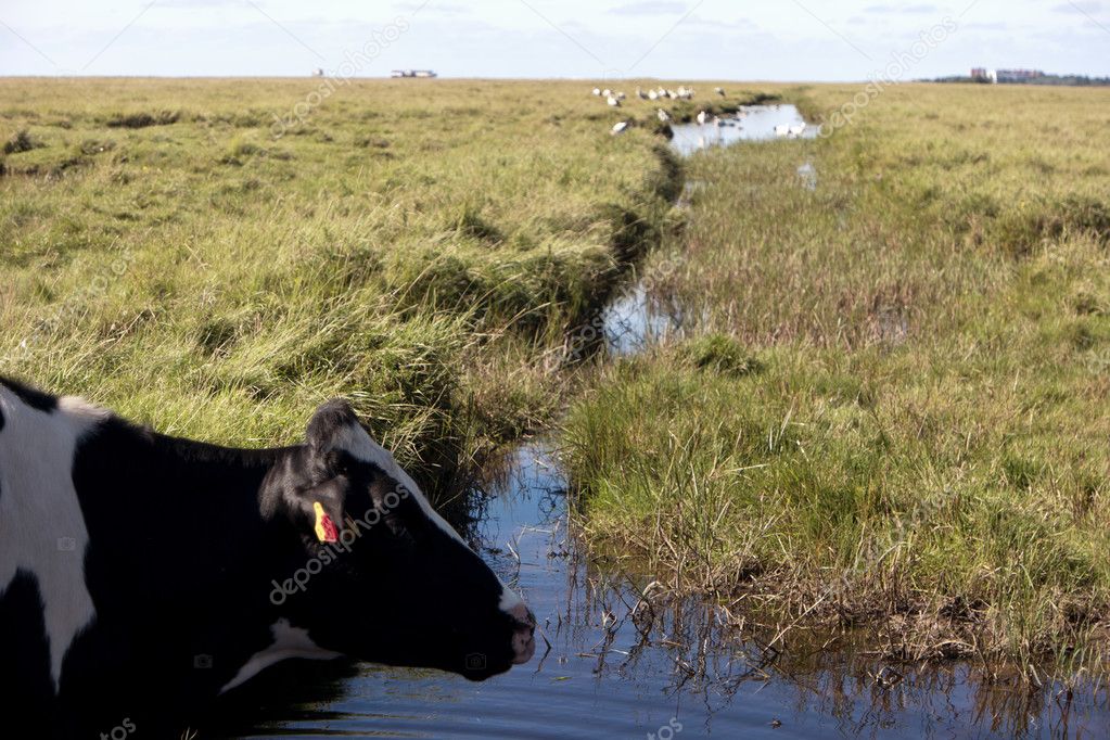 In the thurm cap of St. Peter-Ording in Germany