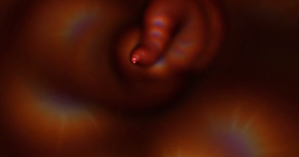 Animation numérique d'un tourbillon chaotique 