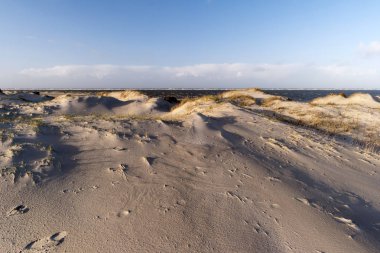 Beach, St. Peter-Ording üzerinde Almanya