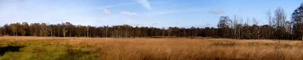 Panoramatický pohled na pasekách v severním Německu — Stock fotografie