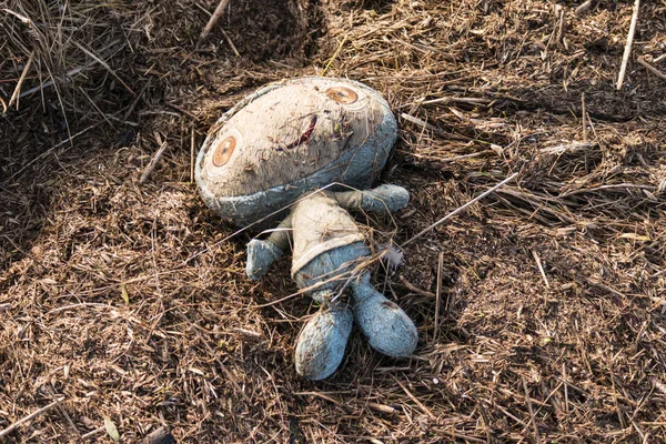 Alte Puppe im Treibgut — Stockfoto