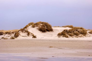 Almanya'da Amrum Kuzey Frizya adasında Manzara
