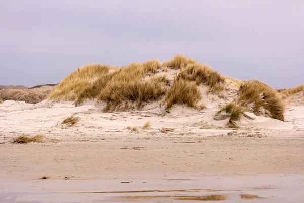 Krajina na severním Froriánském ostrově Amrum v Německu — Stock fotografie