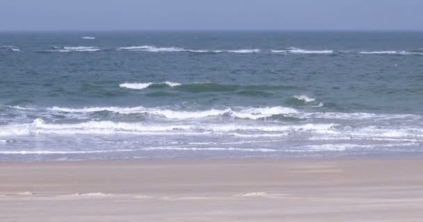 北フリジア語島 Amrum のドイツの浜辺 — ストック動画