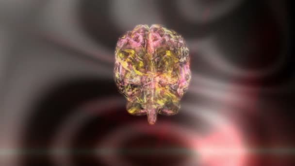 人类的大脑的数字 3d 动画 — 图库视频影像