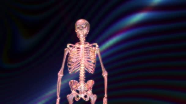 Animación digital 3D de un esqueleto humano — Vídeos de Stock