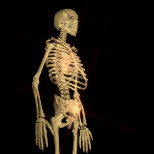 Digitale 3D-Darstellung eines menschlichen Skeletts — Stockfoto