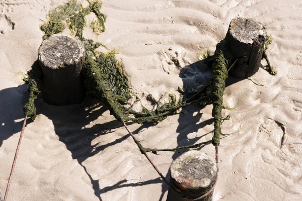 Producția Terenuri Marea Wadden — Fotografie, imagine de stoc