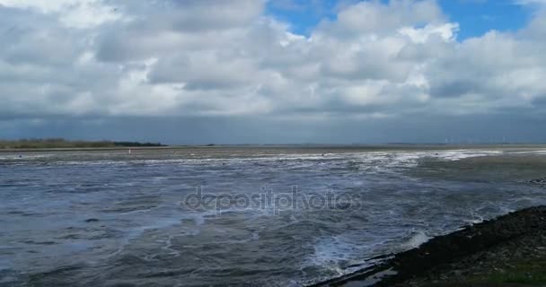 Barriera Eider nella Germania del Nord — Video Stock