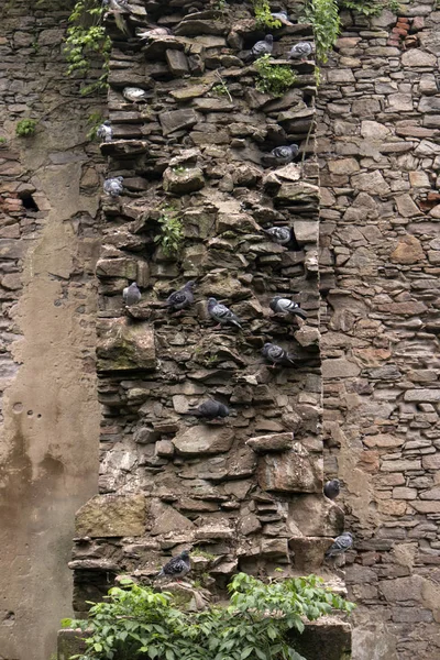 Ruin i Aschaffenburg i Tyskland — Stockfoto