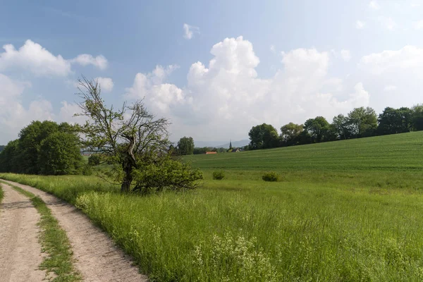 Na turistická stezka Spessartweg v Německu — Stock fotografie