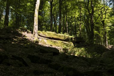 Almanya üzerinde Hiking Trail Spessartweg