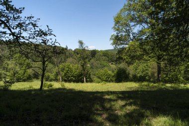 Almanya üzerinde Hiking Trail Spessartweg