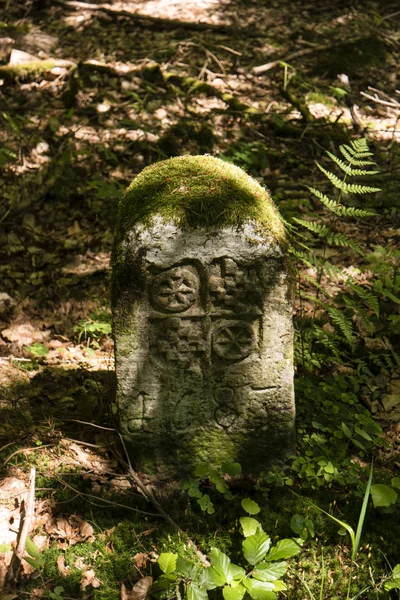 En la ruta de senderismo Spessartweg en Alemania — Foto de Stock