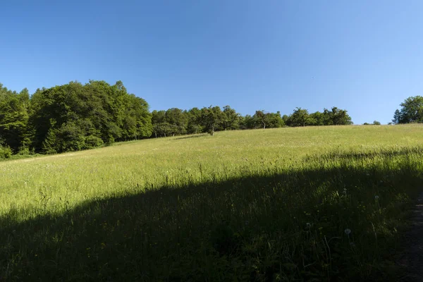 Na turistická stezka Spessartweg v Německu — Stock fotografie