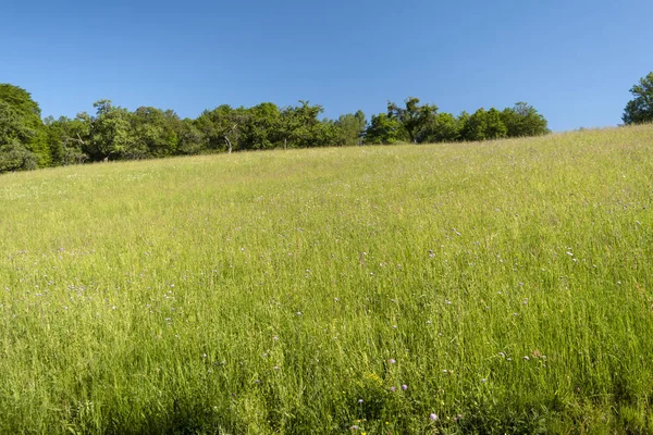 Op de wandelweg Spessartweg in Duitsland — Stockfoto