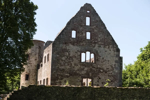 Руины Шёнрейна в Шпессарте в Германии — стоковое фото