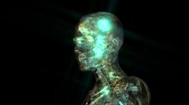 Dijital 3d animasyon insan anatomi