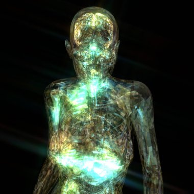 insan anatomisi 3D çizimi