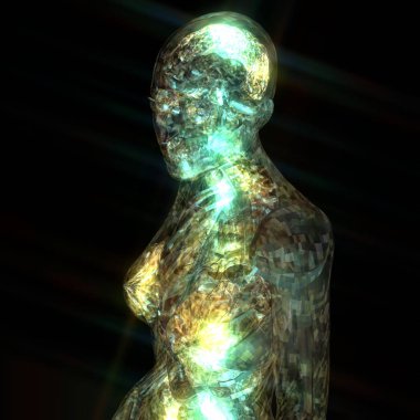 insan anatomisi 3D çizimi