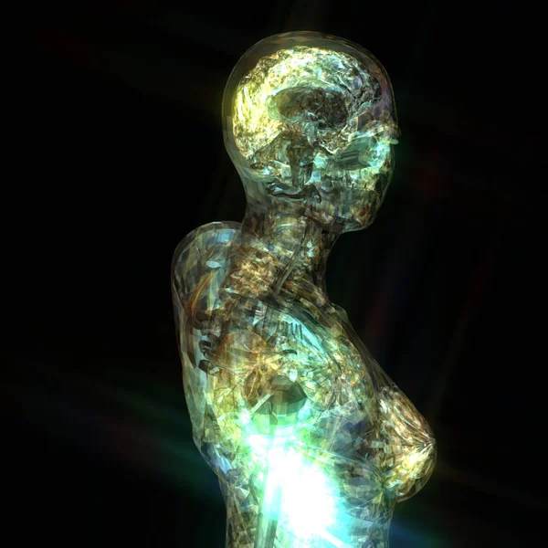 Ilustração 3D de uma anatomia humana — Fotografia de Stock