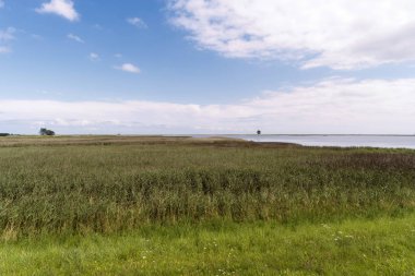 Baltık Denizi Manzarası