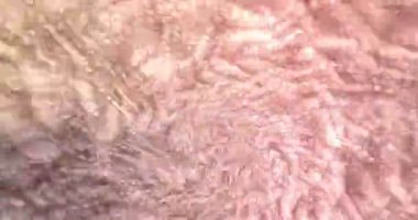 Hipnotik Twister 'ın Dijital Parçacık Canlandırması