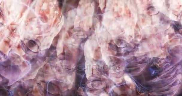 Digitala partikel 3d-animering av mänskliga hjärnor — Stockvideo