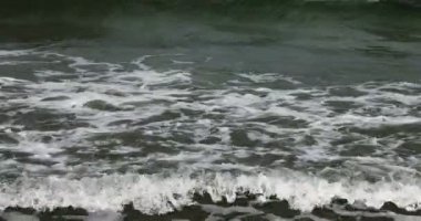 Baltık Denizi Almanya'da büyük artış