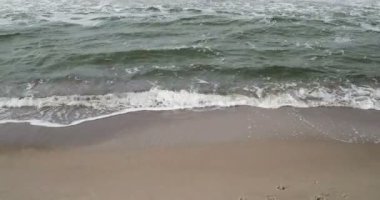 Baltık Denizi Almanya'da büyük artış