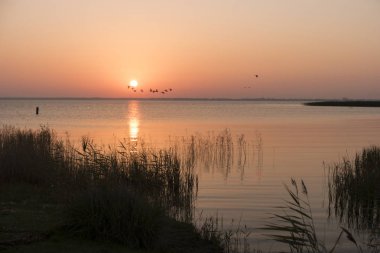 Bodden tarihinde Almanya'da Fischland güneş doğarken