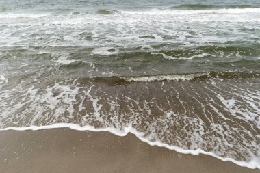 Almanya 'da Ahrenshoop yakınlarında Baltık Denizi Kıyısı