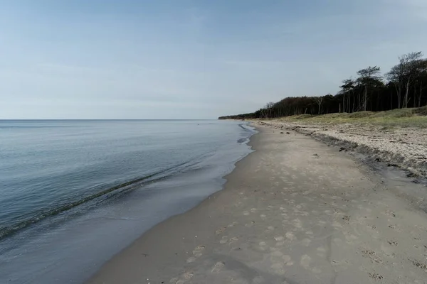 德国Ahrenshoop附近的波罗的海海岸 — 图库照片