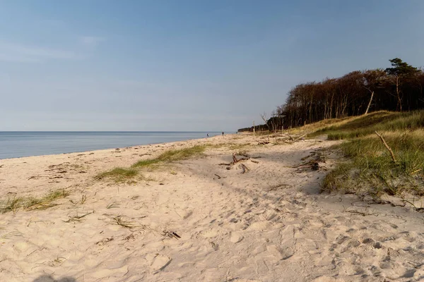 Costa del Mar Baltico vicino Ahrenshoop in Germania — Foto Stock