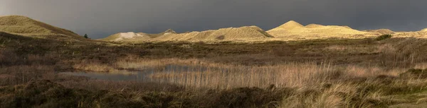 Πανοραμική Θέα Στο Βόρειο Frisian Island Amrum Στη Γερμανία — Φωτογραφία Αρχείου