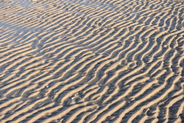 Almanya Kuzey Frisian Adası Amrum üzerinde dalgalanma işaretleri