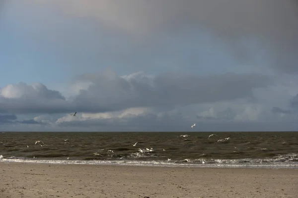 Na Ilha da Frísia do Norte Amrum, na Alemanha — Fotografia de Stock