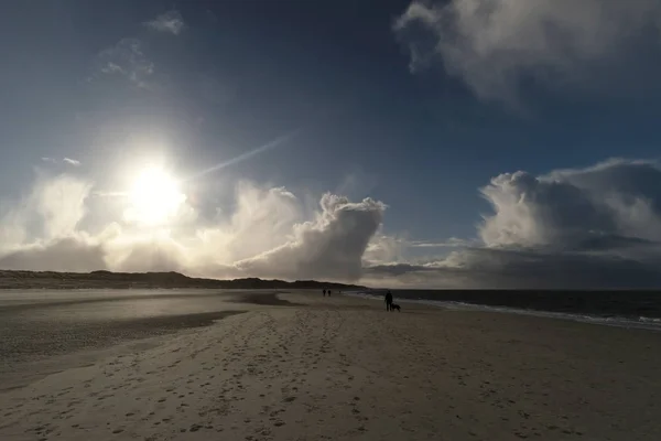 Sull Isola Della Frisia Settentrionale Amrum Germania — Foto Stock