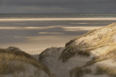 Almanya 'da Kuzey Frizya Adası' ndaki kum tepeleri