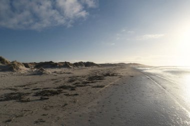 Almanya Kuzey Frisian Adası Amrum üzerinde