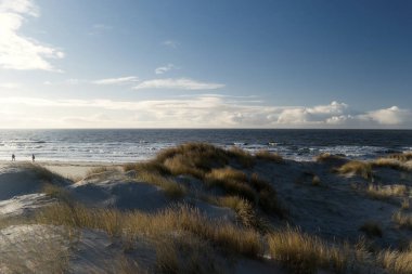 Almanya Kuzey Frisian Adası Amrum üzerinde