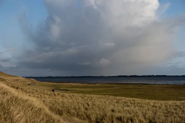 Dünen auf der nordfriesischen Insel Amrum — Stockfoto