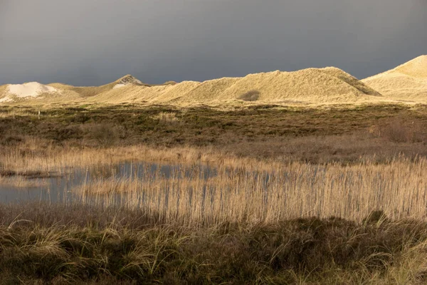 Θίνες Στο Βόρειο Frisian Island Amrum Στη Γερμανία — Φωτογραφία Αρχείου