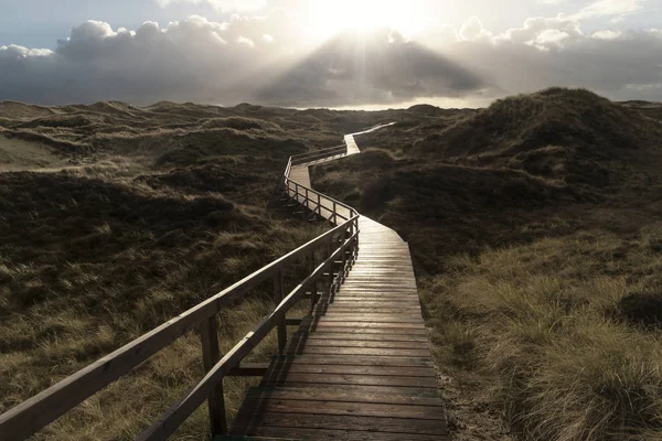 Dunes on the North Frisian Island Amrum in Germany