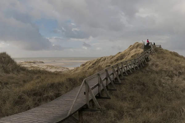 Dünen auf der nordfriesischen Insel Amrum — Stockfoto