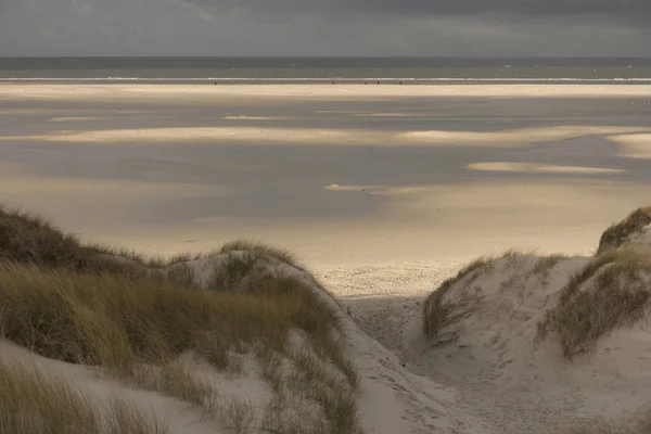 Duna Severním Fríském Ostrově Amrum Německu — Stock fotografie