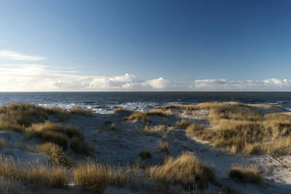 På den nordfrisiske øya Amrum i Tyskland – stockfoto